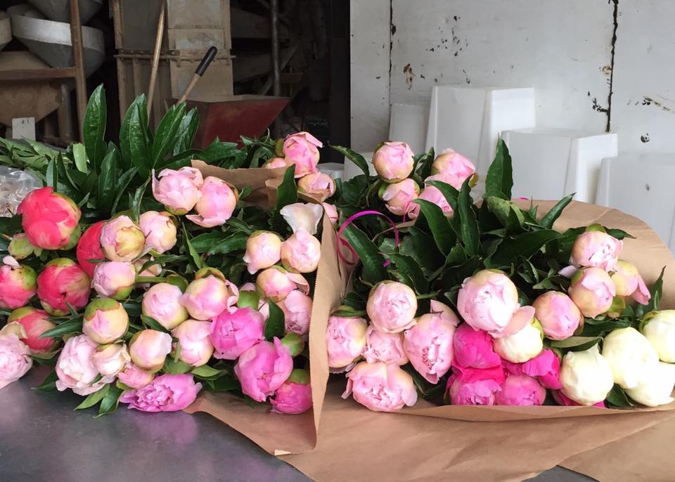 Visit Peony Hill Farm